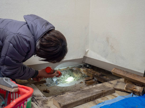 Best Post-Construction Mold Inspection  in Cleves, OH