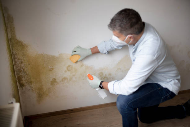 Best Airborne Mold Testing  in Cleves, OH