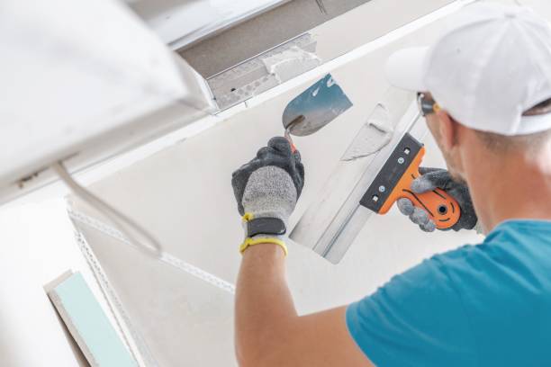 Reliable Cleves, OH Mold Removal Solutions